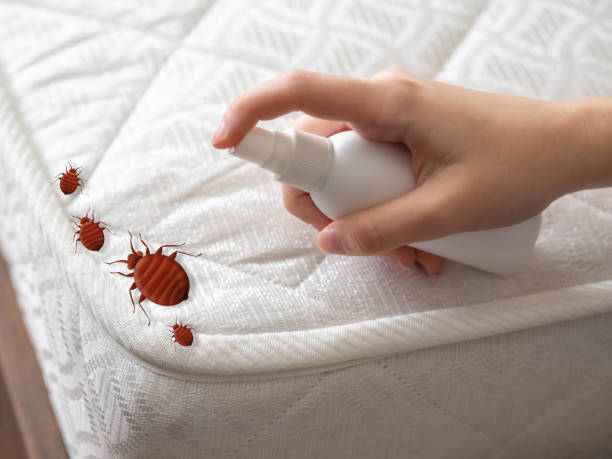 Best Best Pest Control Companies  in Cornish, ME